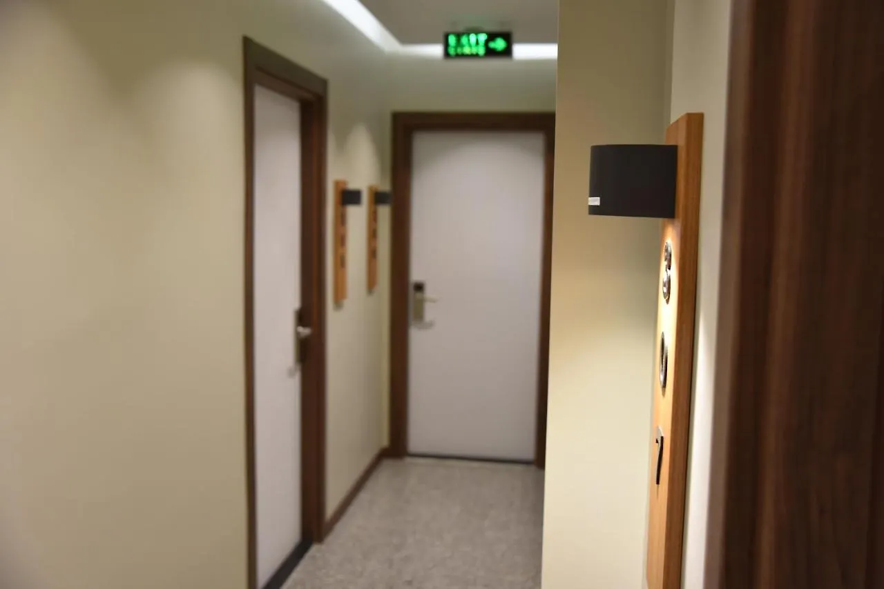 Edwin Plus Hotel 伊斯坦布尔 土耳其