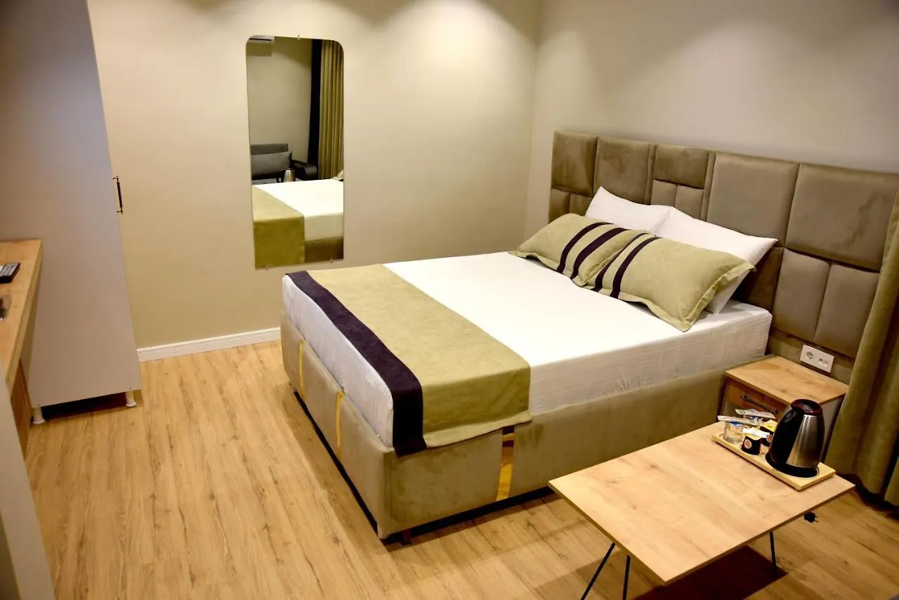 Edwin Plus Hotel 伊斯坦布尔 土耳其